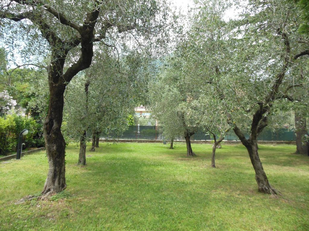 טוסקולנו מדרנו Residenza Hotel Garden מראה חיצוני תמונה